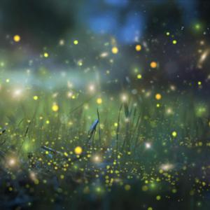 91美女㊙️片漫画
